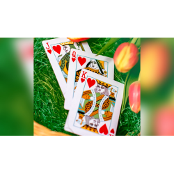 Butterfly Seasons Playing Cards Marked (Spring) by Ondrej Psenicka