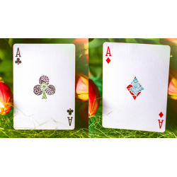 Butterfly Seasons Playing Cards Marked (Spring) by Ondrej Psenicka