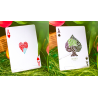 Butterfly Seasons Playing Cards Marked (Spring) by Ondrej Psenicka