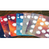 Ecliptic Zodiac Playing Cards