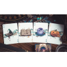 Enchanter (Day) Playing Cards by King Star