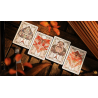 Kite Playing Cards by ARK