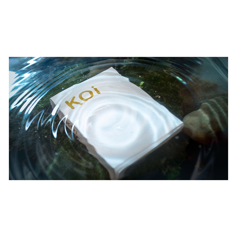 Koi V2 Playing Cards by Byron Leung