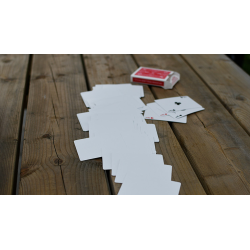 Alpha Deck (Cards and Online Instructions) by Richard Sanders - Trick