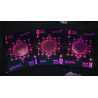 Moon (Black Holo) Playing Cards