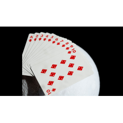 NASA Foil Meatball Logo Playing Cards