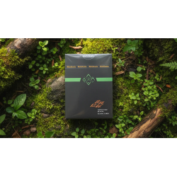 North Wind Beacon Playing Cards by WohStudios