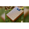 Piramida Desert (Numbered Seal) Limited Edition Playing Cards