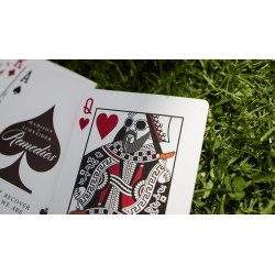 Brown Remedies Playing Cards by Madison x Schneider