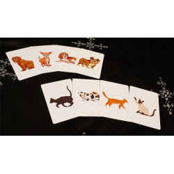 Animal Card by Tejinaya by Tejinaya Magic
