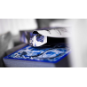 Silent Focus Lapis (Special Edition) Playing Cards