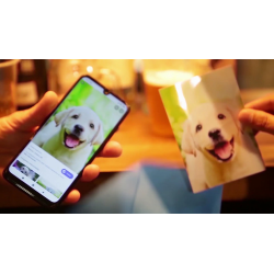 AnyWeb by Magic Pro Ideas - Trick