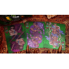 The Norse Myths Series (Yggdrasil) Playing Cards