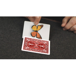 Caterfly (Red) by My Magical Project