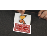 Caterfly (Red) by My Magical Project