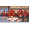 CCS RED by N2G - Trick