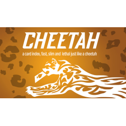 Cheetah by German Dabat and Michel