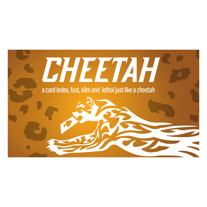 Cheetah by German Dabat and Michel