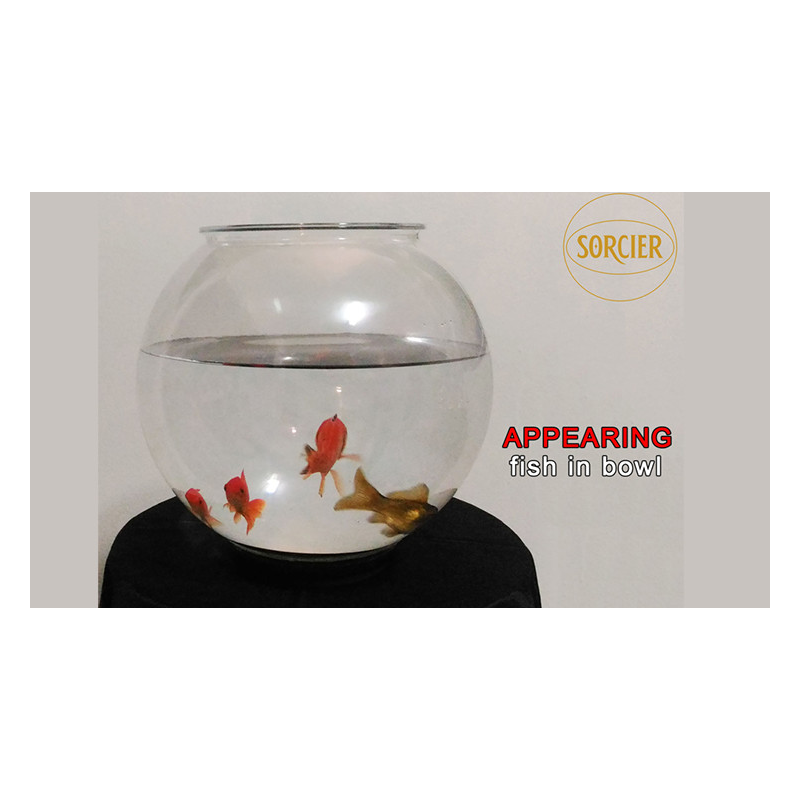 APPEARING FISH IN BOWL by Sorcier Magic