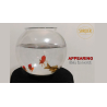 APPEARING FISH IN BOWL by Sorcier Magic