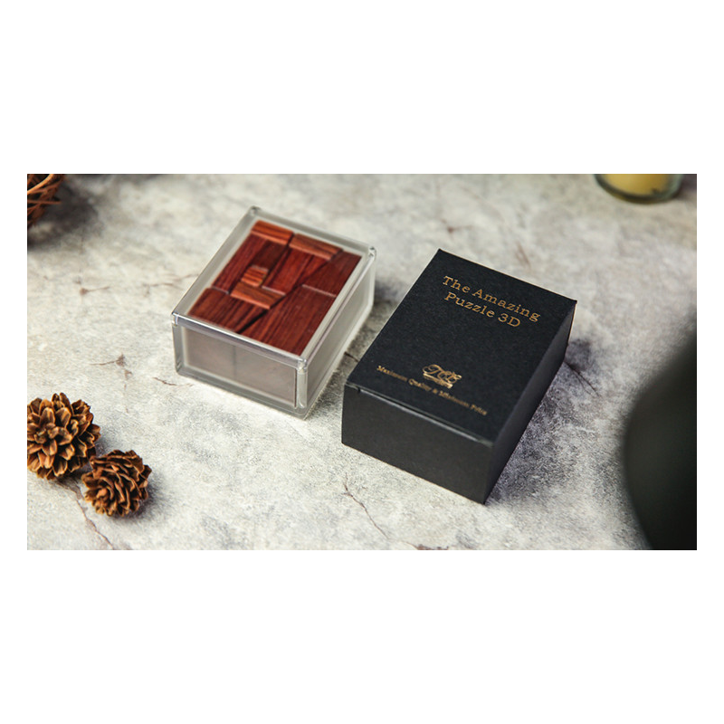 The Amazing 3D PUZZLE by TCC - Trick