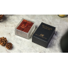 The Amazing 3D PUZZLE by TCC - Trick