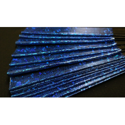 Appearing SnowStorming Fan V2 (Blue Hologram) by Victor Voitko (Gimmick and Online Instructions) - Trick