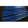 Appearing SnowStorming Fan V2 (Blue Hologram) by Victor Voitko (Gimmick and Online Instructions) - Trick