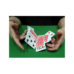 CIB: Cards In Bag (Gimmicks and Instructions) by Dominique Duvivier - Trick