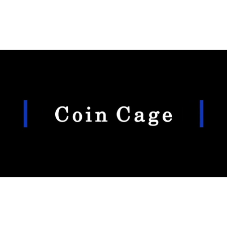 Coin Cage (Silver) by Paul Carnazzo