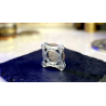 Coin Cage (Silver) by Paul Carnazzo