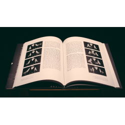 Coins and Other Fables by Luis Piedrahita - Book
