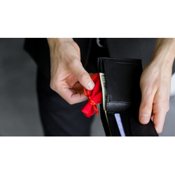 Coin to Wallet (Gimmicks and Online Instructions) by Rodrigo Romano and Mysteries - Trick