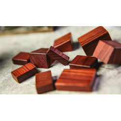 The Amazing 3D PUZZLE by TCC - Trick