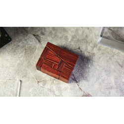 The Amazing 3D PUZZLE by TCC - Trick
