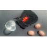Copper Shells (Antique Copper)
